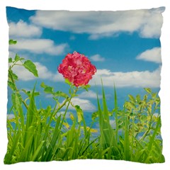 Beauty Nature Scene Photo Standard Flano Cushion Case (two Sides) by dflcprints