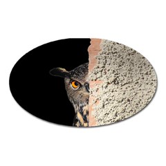 Owl Hiding Peeking Peeping Peek Oval Magnet by Celenk