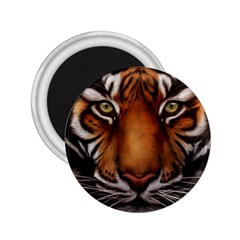 The Tiger Face 2 25  Magnets by Celenk