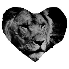 Africa Lion Male Closeup Macro Large 19  Premium Flano Heart Shape Cushions by BangZart