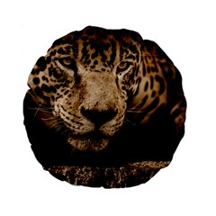 Jaguar Water Stalking Eyes Standard 15  Premium Flano Round Cushions by BangZart