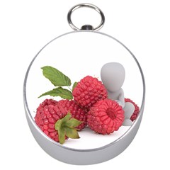 Fruit Healthy Vitamin Vegan Silver Compasses by BangZart