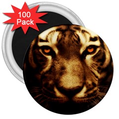 Cat Tiger Animal Wildlife Wild 3  Magnets (100 Pack) by Celenk