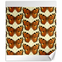 Butterfly Butterflies Insects Canvas 8  X 10  by Celenk