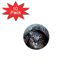 Cat Pet Art Abstract Vintage 1  Mini Buttons (10 Pack)  by Celenk