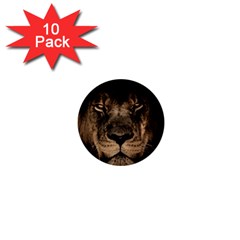 African Lion Mane Close Eyes 1  Mini Buttons (10 Pack)  by Celenk