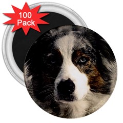 Dog Pet Art Abstract Vintage 3  Magnets (100 Pack) by Celenk