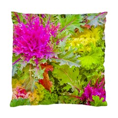 Colored Plants Photo Standard Cushion Case (one Side) by dflcprints