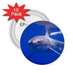 GREAT WHITE SHARK 4 2.25  Buttons (10 pack)  Front