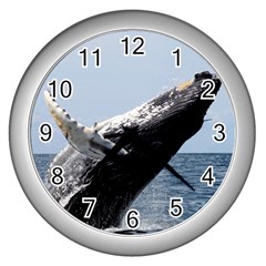 Humpback 2 Wall Clocks (silver)  by trendistuff