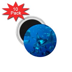 Manta Ray 2 1 75  Magnets (10 Pack)  by trendistuff