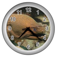 Moray Eel 1 Wall Clocks (silver)  by trendistuff