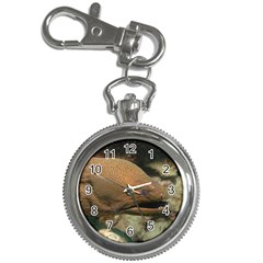 Moray Eel 1 Key Chain Watches by trendistuff