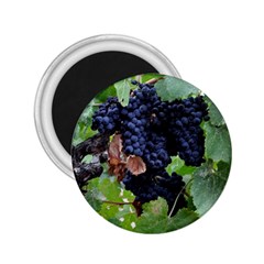 Grapes 3 2 25  Magnets by trendistuff