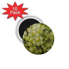 Grapes 5 1 75  Magnets (10 Pack)  by trendistuff