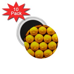 Lemons 1 1 75  Magnets (10 Pack)  by trendistuff