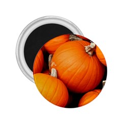 Pumpkins 1 2 25  Magnets by trendistuff