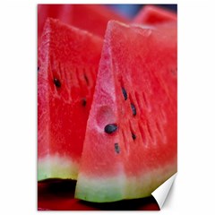 Watermelon 1 Canvas 20  X 30   by trendistuff