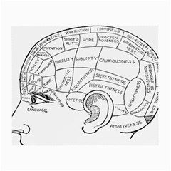 Brain Chart Diagram Face Fringe Small Glasses Cloth (2-side) by Nexatart