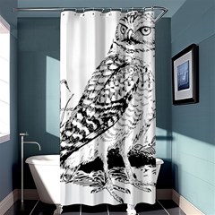 Animal Bird Forest Nature Owl Shower Curtain 36  X 72  (stall)  by Nexatart