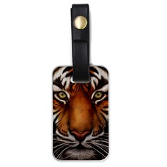 The Tiger Face Luggage Tags (one Side)  by Nexatart