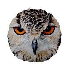 Owl Face Standard 15  Premium Flano Round Cushions by Sapixe