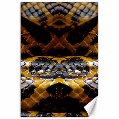 Textures Snake Skin Patterns Canvas 20  X 30   by Sapixe