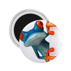 Tree Frog Illustration 2 25  Magnets by Sapixe