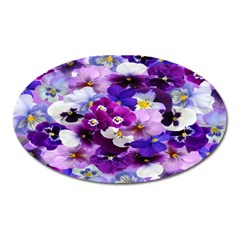 Graphic Background Pansy Easter Oval Magnet by Sapixe