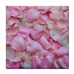 Romantic Pink Rose Petals Floral  Tile Coasters Front