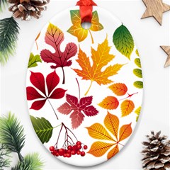 Beautiful Autumn Leaves Vector Oval Ornament (two Sides) by Nexatart