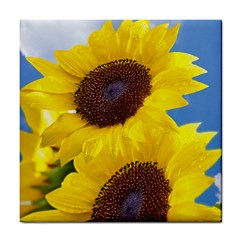 Sunflower Floral Yellow Blue Sky Flowers Photography Tile Coasters by yoursparklingshop