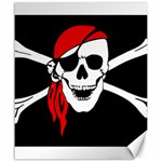 Pirate Skull Canvas 20  x 24   19.57 x23.15  Canvas - 1