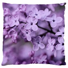 Lilac Standard Flano Cushion Case (one Side) by LoolyElzayat