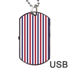 Usa Flag Red White And Flag Blue Wide Stripes Dog Tag Usb Flash (one Side) by PodArtist