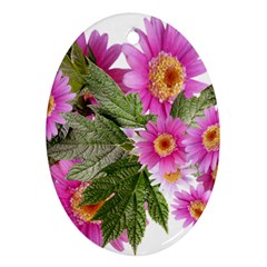 Daisies Flowers Arrangement Summer Oval Ornament (two Sides) by Sapixe