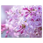 Pink Lilac Flowers Double Sided Flano Blanket (Medium)  60 x50  Blanket Front