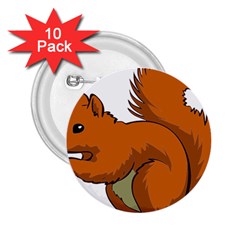 Squirrel Animal Pet 2 25  Buttons (10 Pack)  by Sapixe