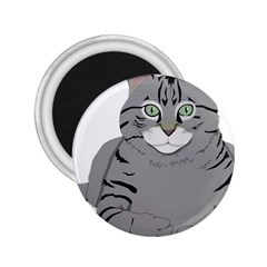 Cat Kitty Gray Tiger Tabby Pet 2 25  Magnets by Sapixe