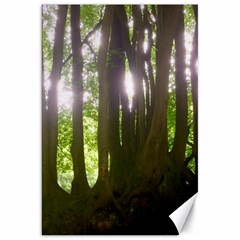 Tree Of Trees Canvas 20  X 30   by DeneWestUK