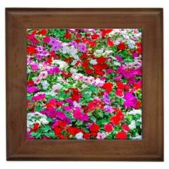 Colorful Petunia Flowers Framed Tiles by FunnyCow