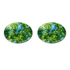 Forest   Strain Towards The Light Cufflinks (oval) by FunnyCow