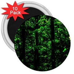 Emerald Forest 3  Magnets (10 Pack)  by FunnyCow