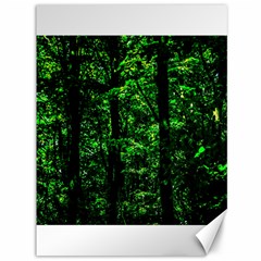 Emerald Forest Canvas 36  X 48   by FunnyCow