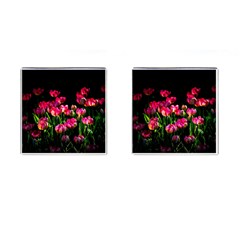 Pink Tulips Dark Background Cufflinks (square) by FunnyCow