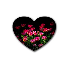 Pink Tulips Dark Background Rubber Coaster (heart)  by FunnyCow