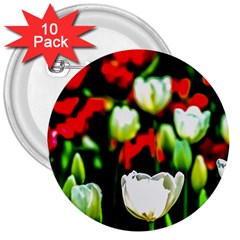 White And Red Sunlit Tulips 3  Buttons (10 Pack)  by FunnyCow