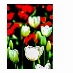 White And Red Sunlit Tulips Small Garden Flag (two Sides) by FunnyCow