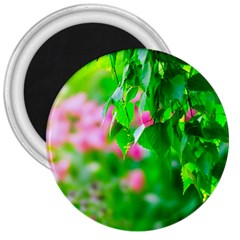 Green Birch Leaves, Pink Flowers 3  Magnets by FunnyCow