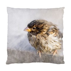 Funny Wet Sparrow Bird Standard Cushion Case (one Side) by FunnyCow